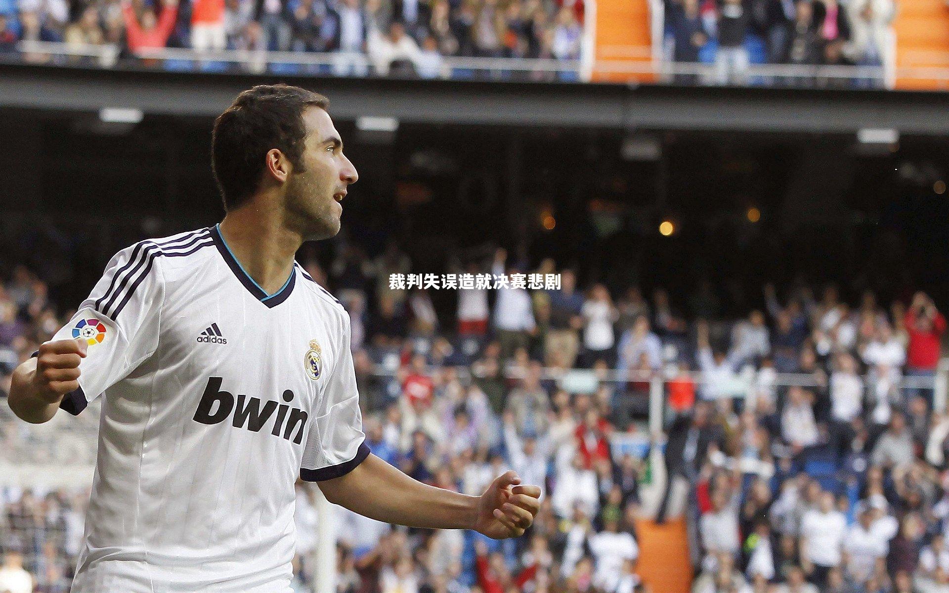 裁判失误造就决赛悲剧