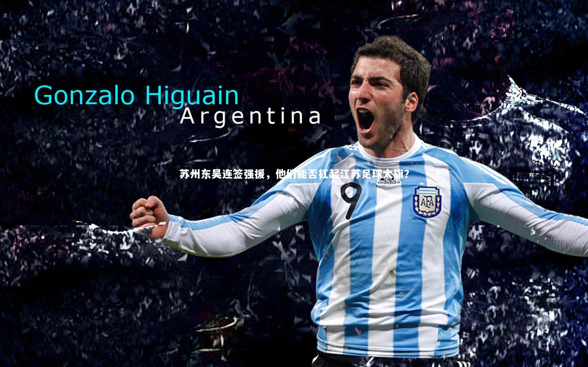 苏州东吴连签强援，他们能否扛起江苏足球大旗？